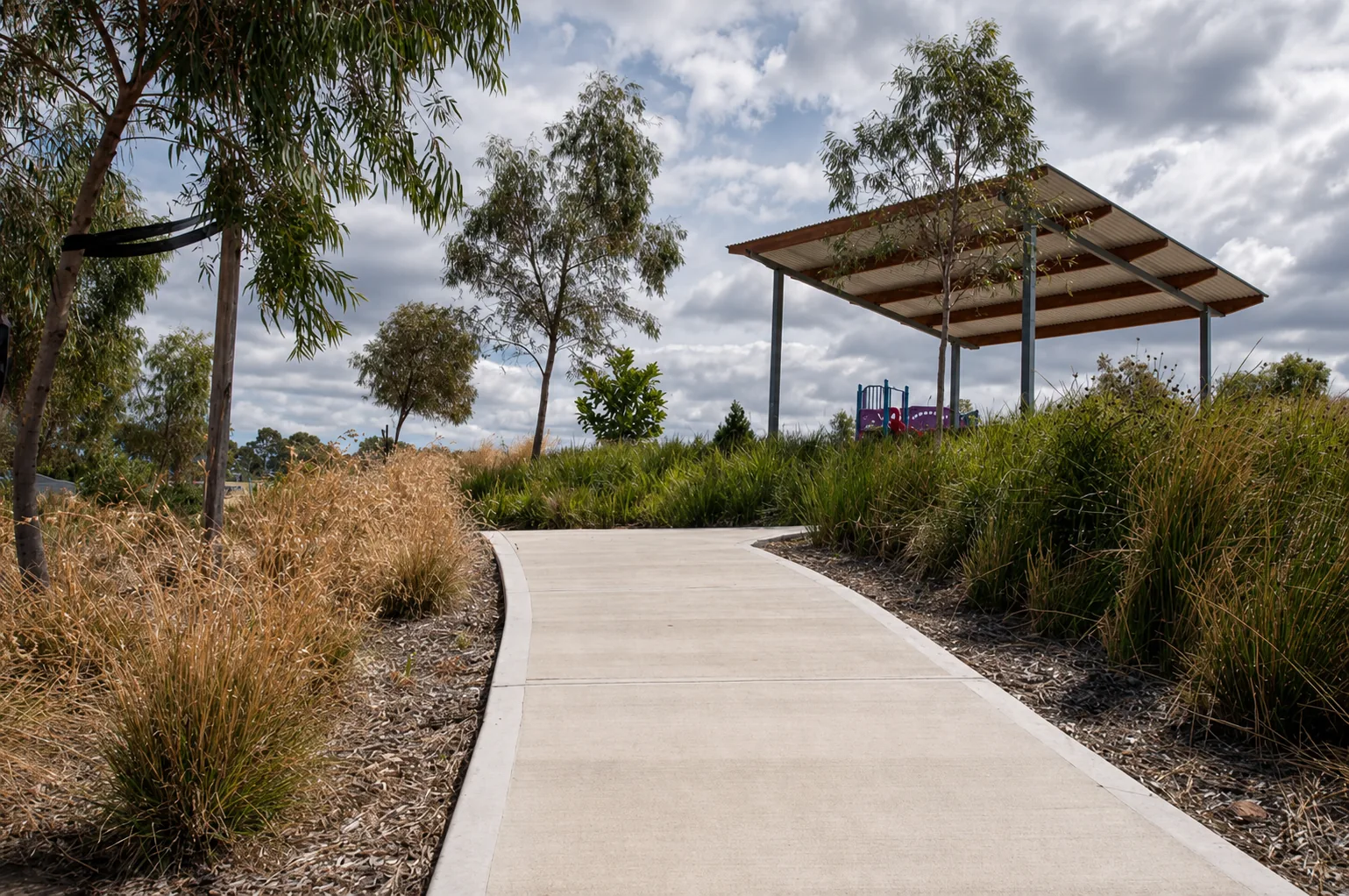 Curved concrete path through an established native landscape