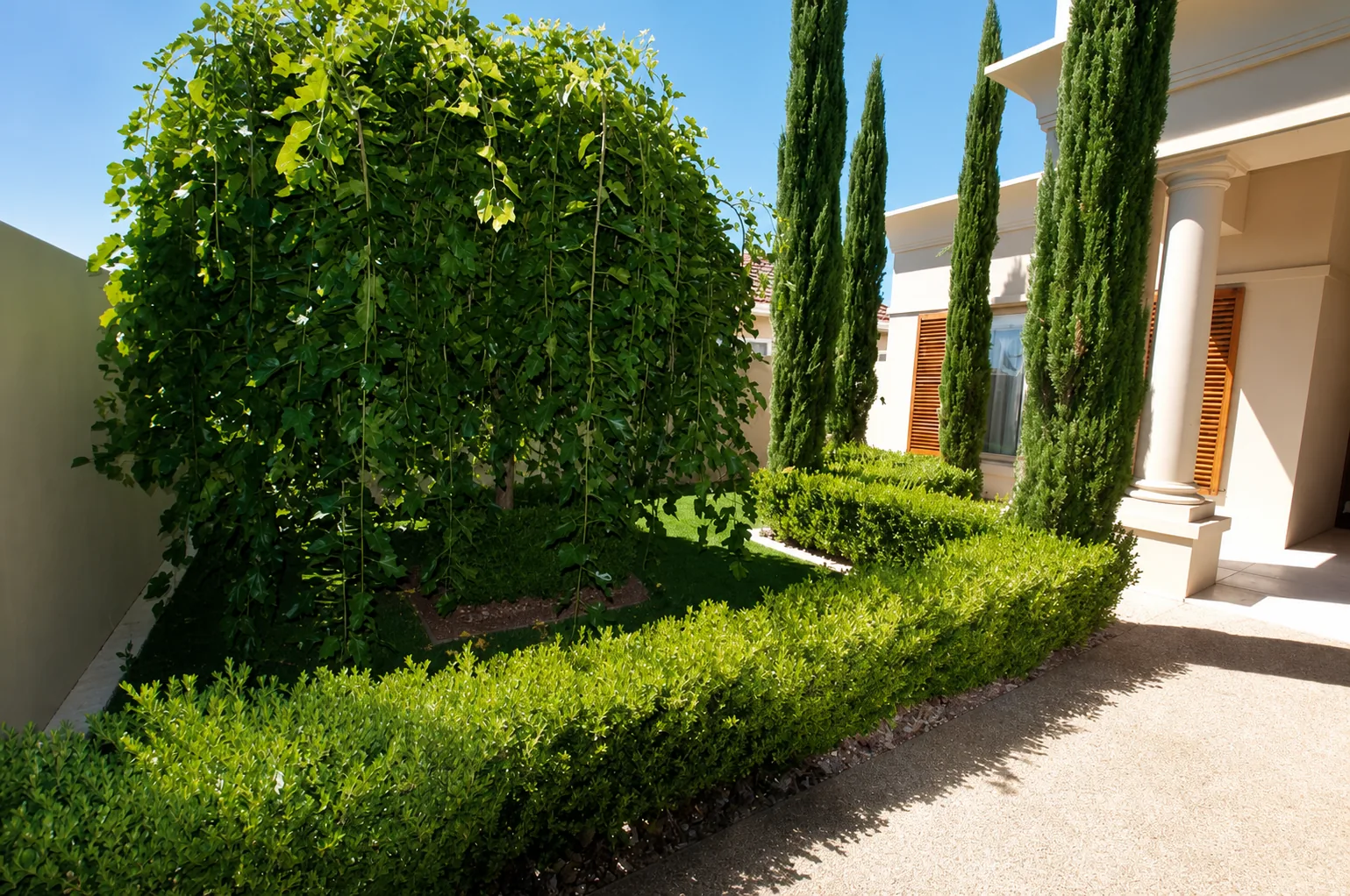 Formal courtyard garden with clipped hedges and cypress planting